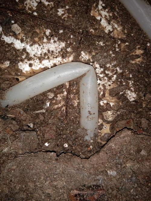 集贤堵点精准查找